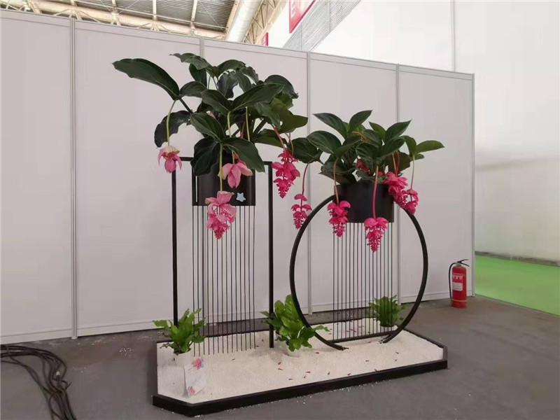 花架组合