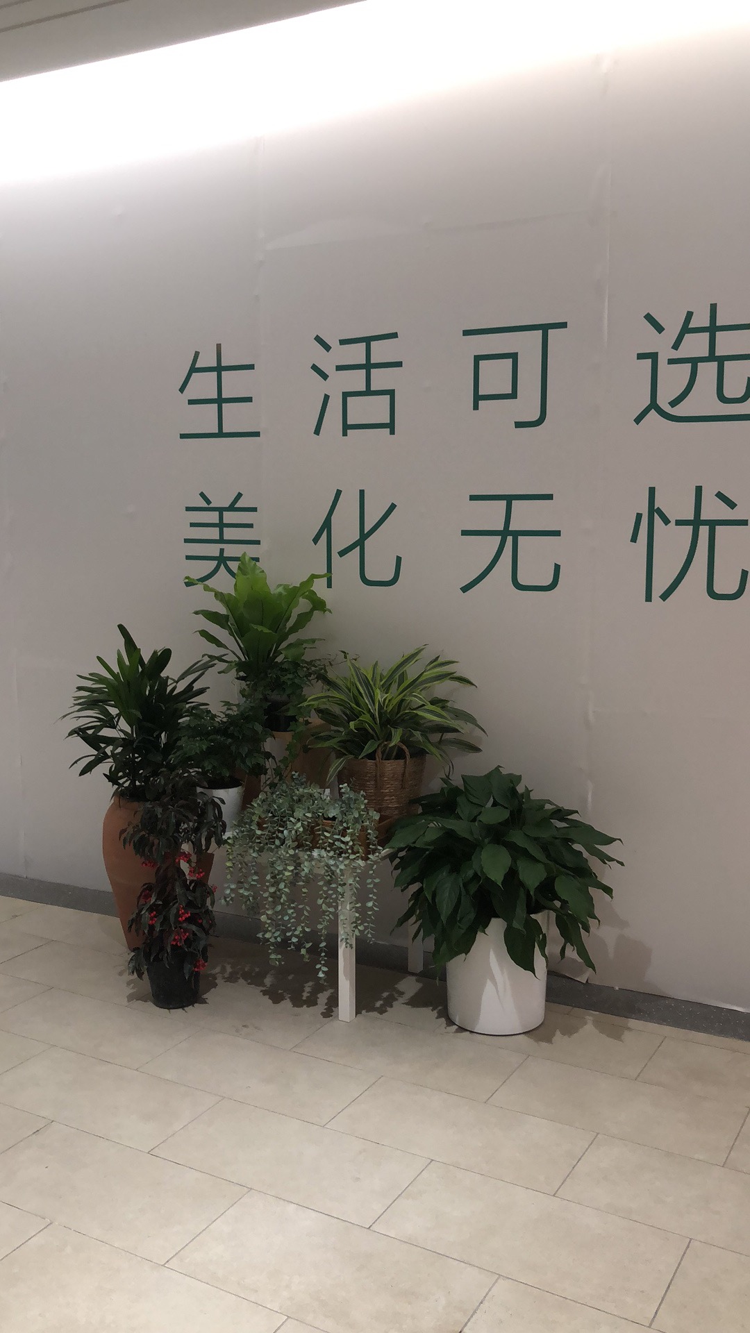 景观组合