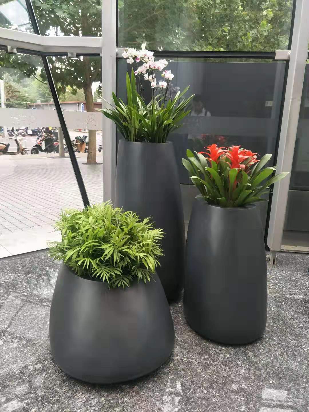 花卉组合