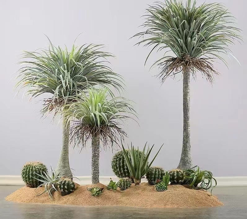 景观组合