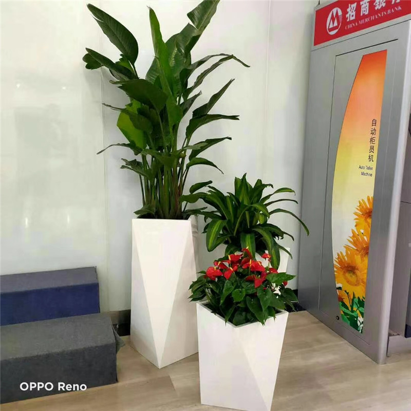 武汉花卉组合