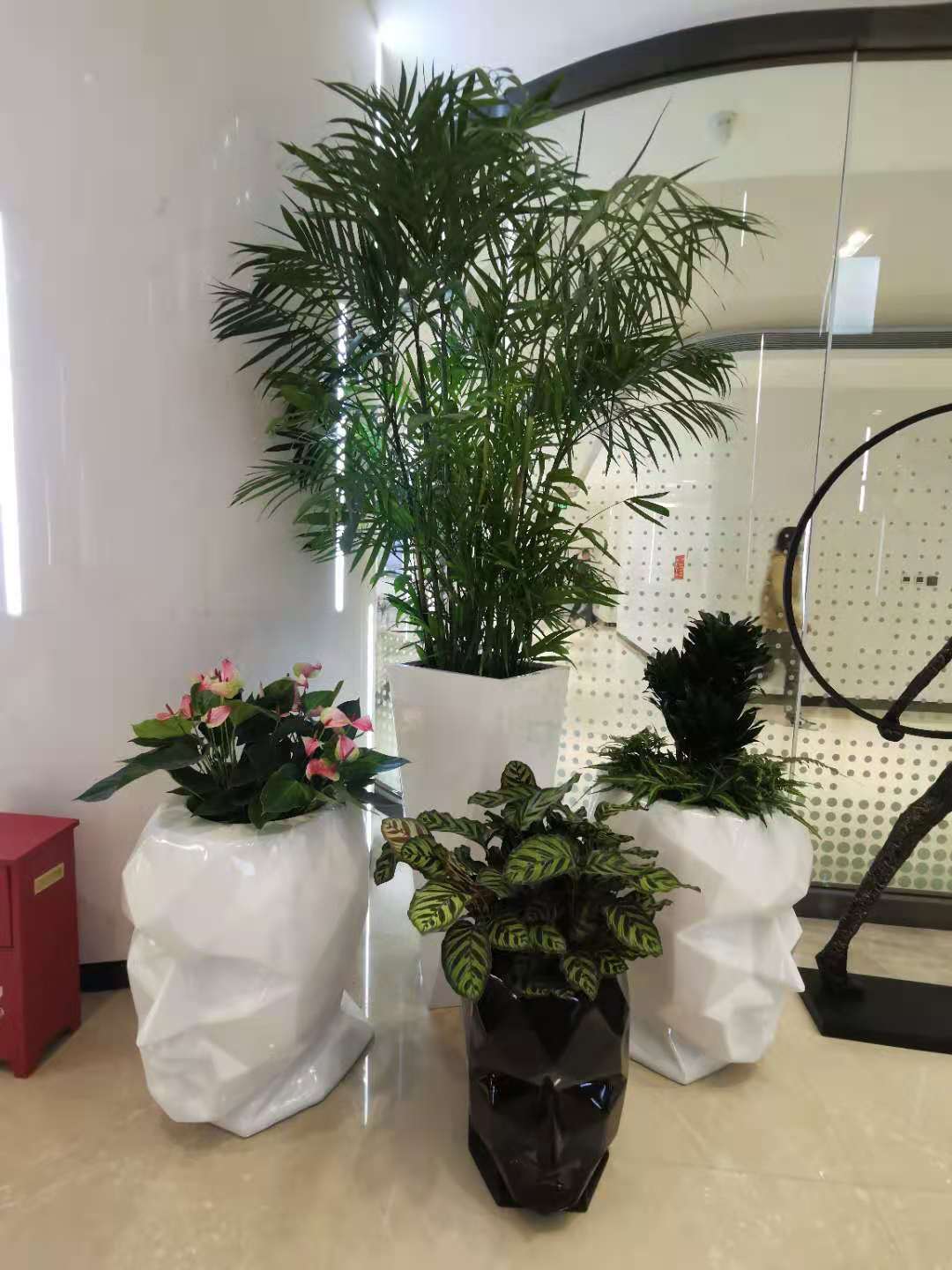 花卉组合