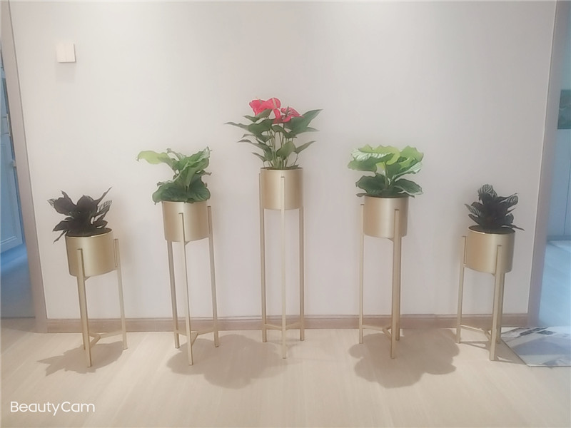 花架组合