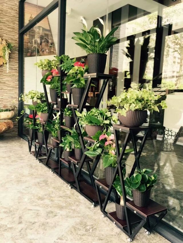 花架组合