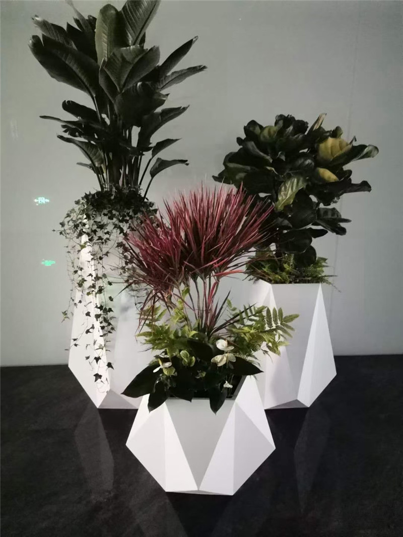 花卉组合