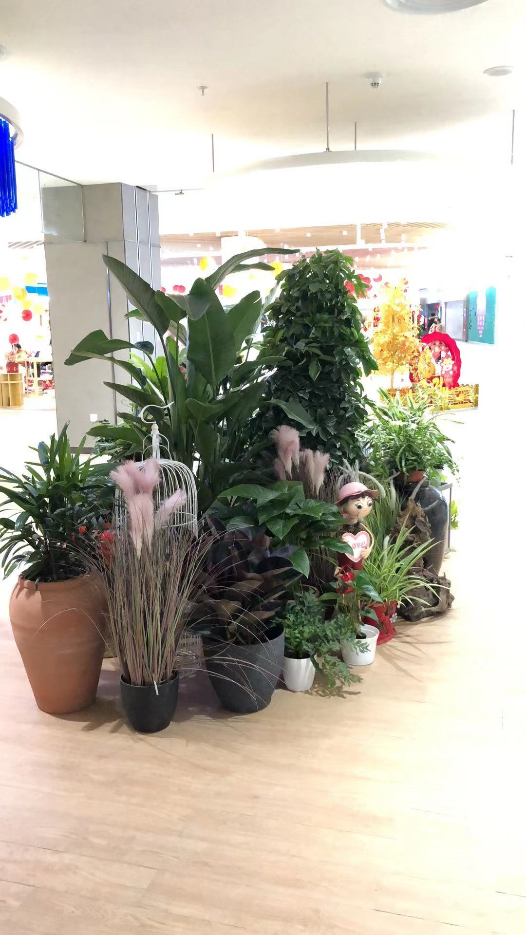 武汉景观组合