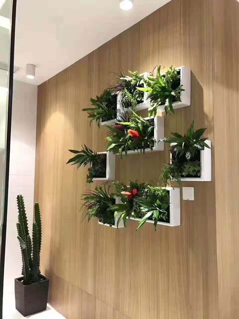 武汉景观组合