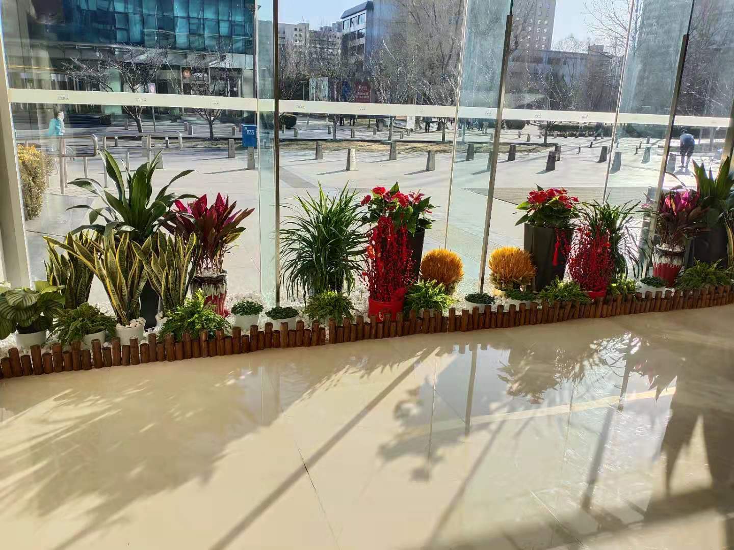 武汉花坛组合