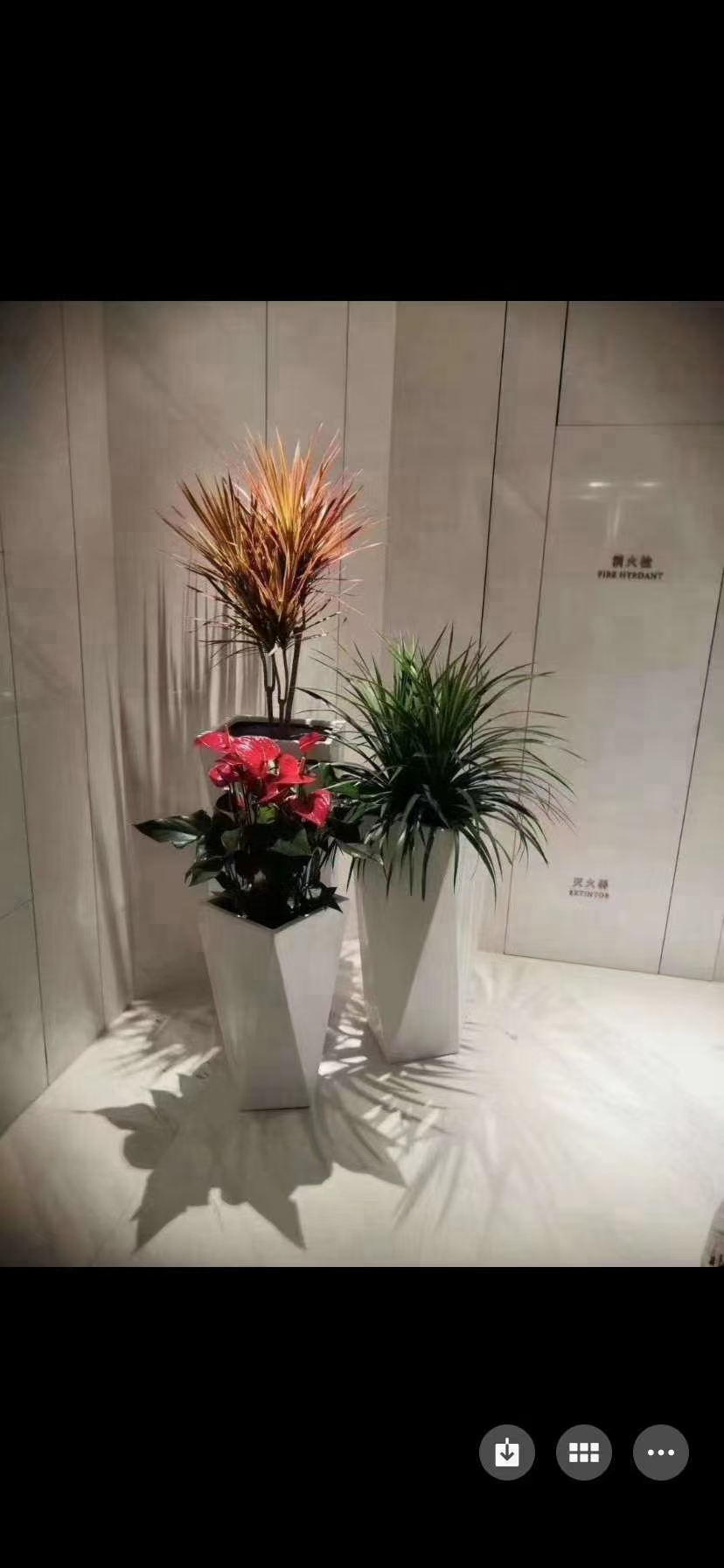 武汉花坛组合