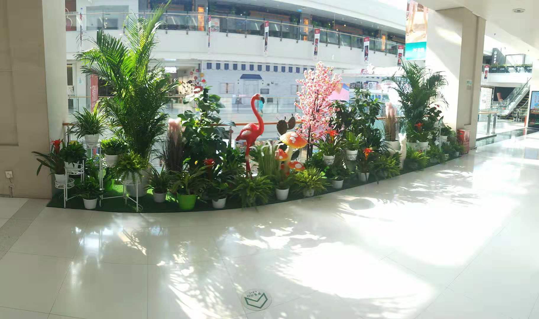 武汉大型花卉