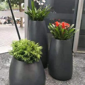 武汉花卉组合