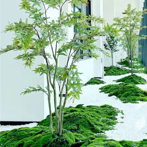 武汉景观组合