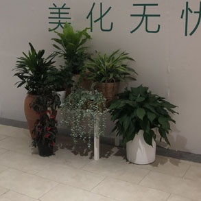 武汉景观组合